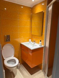 a bathroom with a toilet and a sink and a mirror at Guest house 2 in Amalias