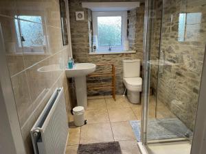 a bathroom with a shower and a sink and a toilet at Ffyllon Fawr in Henfynyw Upper +26 photos