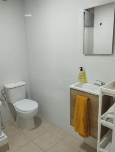 a white bathroom with a toilet and a sink at Apartamentos calatorao con jardín y 3 habitaciones in Calatorao