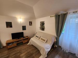 a bedroom with a bed and a tv and a window at Studio du moulin de Montizeau in Saint-Maigrin