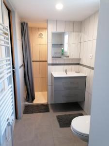 a bathroom with a sink and a toilet at Maisonnette Bassin d'Arcachon in Mios