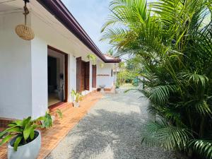 a courtyard of a house with palm trees at Rose Apple Hostel in Ahangama