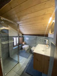 a bathroom with a shower and a sink and a toilet at Villa Vetto in Lanzada +16 photos