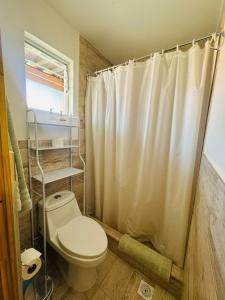 a bathroom with a toilet and a shower curtain at Casa Ñawi in San Pedro de Atacama