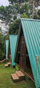 a group of small houses with blue roofs at Casa Perezosa in Parrita