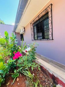 Foto de Casa Vila Iolanda