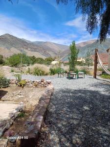 a patio with two green benches and mountains in the background at Cactus y Almacen - Purmamarca in Purmamarca +27 photos