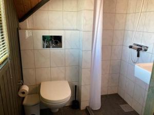 a small bathroom with a toilet and a sink at 601-Hvide-Sande-Bjerregardsvej-375 in Bjerregård +21 photos