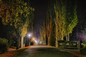 Zahrada ubytování Ensana Esplanade