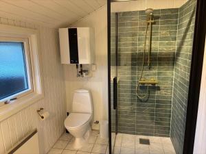 a small bathroom with a toilet and a shower at 5526-Hvide-Sande-Baunebjergvej-29-A in Havrvig +32 photos
