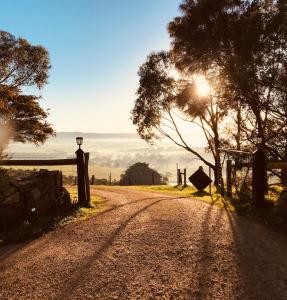 a dirt road with the sun in the background at Pear Tree Hollow in Bald Hills