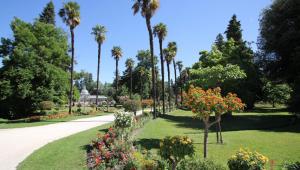 a park with flowers and palm trees and a road at Apparemment Nawé in Tarbes