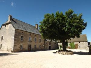 - un grand bâtiment en pierre avec un arbre en face dans l'établissement La maison de Gilbert, à Chaudes-Aigues
