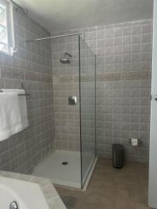 a shower with a glass door in a bathroom at Verano Azul Beachfront Apartment in Isabela in Isabela +7 photos