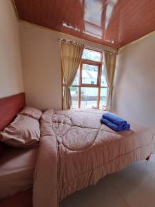a large bed in a bedroom with a window at Carika Cabin in Diyeng +15 photos