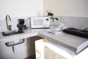 a kitchen counter with a sink and a microwave at Casa Delfin in Playa del Carmen