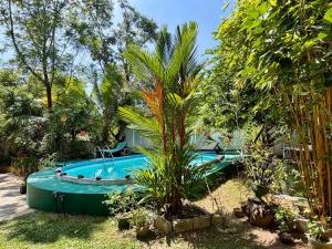 a swimming pool with a palm tree in a yard at Nelum Vegan House in Bentota +14 photos