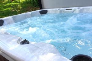 a hot tub with a penguin in it at Laurel Cottage, 560 FREE tickets each paid day, Hot Tub, Pool Table! in Sevierville