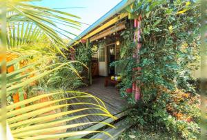a house covered in lots of plants and trees at LE TI CITRON VERT - Baignoire à ciel ouvert et refuge coloré - in Saint-Leu +31 photos