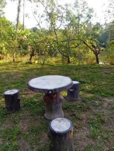 a tree stump table sitting on top of three logs at Chom Suan Farmstay in Ko Kood