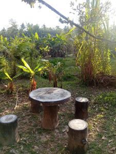 a picnic table with three logs around it at Chom Suan Farmstay in Ko Kood