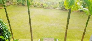 a view of a yard from a window with trees at Stay Zen in Arangala