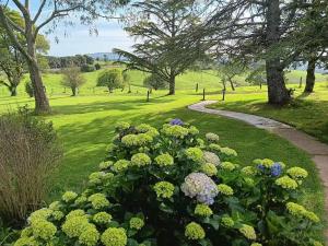 a path through a park with flowers and trees at Fernbrook Lodge in Dorrigo
