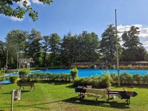 a park with benches and a pond in the background at Ferienwohnung Zum Alten Cafè in Neustadt