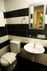 a black and white bathroom with a toilet and a sink at T-hotel JB in Johor Bahru