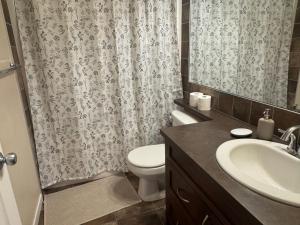 a bathroom with a sink and a toilet and a shower curtain at Peace Home in Calgary