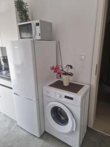 a washing machine with a plant on top of it at Villa Müller in Poreč