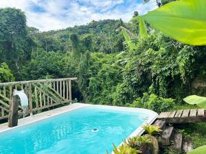 a swimming pool in the middle of a jungle with a bridge at Gruta do Pavão in Paraty +29 photos