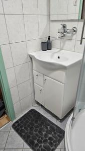 a bathroom with a white sink and a mirror at Brunarica Beti in Brežice +9 photos