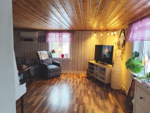 a living room with a chair and a television at Charming red cottage in Vaderstad SE10024 in Väderstad