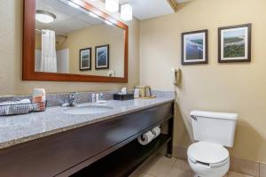 a bathroom with a toilet and a sink with a mirror at Comfort Inn Pearl-Jackson in Pearl +20 photos