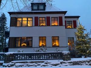 a house with a christmas tree in front of it at Apartments Aura & Nova in Aue-Bad Schlema