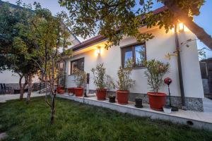 a row of potted plants in front of a house at Vila H2O in Mangalia