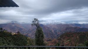 a tree on top of a mountain with snow covered mountains at Krishna guest house in Mussoorie