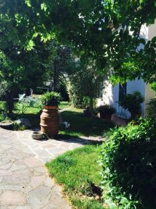 a garden with a large pot with a plant in it at Al Vecchio Camino in Rotonda