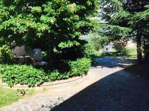 a stone walkway with trees and a grave yard at Al Vecchio Camino in Rotonda
