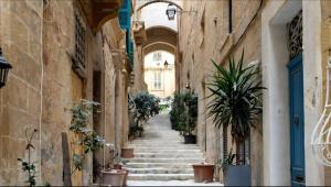 an alley with stairs and potted plants in a building at Charming Valletta Escape Unesco Area in Valletta