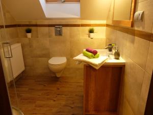 łazienka z toaletą i umywalką w obiekcie Apartament Pozytywka w mieście Tenczynek