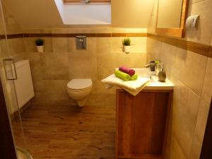 Ένα μπάνιο στο Apartament Pozytywka