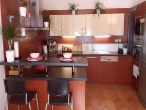 Kuchyň nebo kuchyňský kout v ubytování Family Flat 120m2, Praha 2 Vinohrady