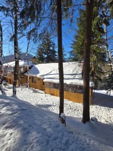a log cabin in the snow with trees at Casuta Cerbului Colibita in Colibiţa
