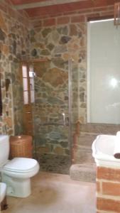 a stone bathroom with a toilet and a shower at El Prado 11 Casa Rural in El Pedroso