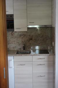 Kuchyň nebo kuchyňský kout v ubytování Hus Pravis