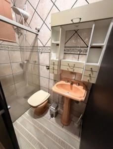a bathroom with a pink sink and a toilet at Hostel Sideral in Campo Grande +85 photos