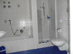 a bathroom with a shower and a toilet and a sink at Ferienwohnung Rath in Oberreute