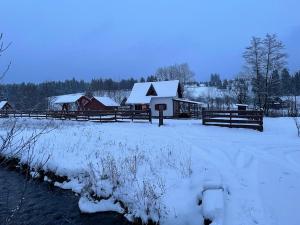 a snow covered field with a house and a fence at Csobogó Patak Vendégház in Sicasău